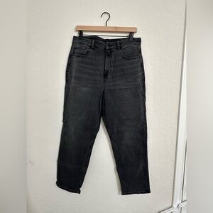 American Eagle Curvy Mom Jean 10s